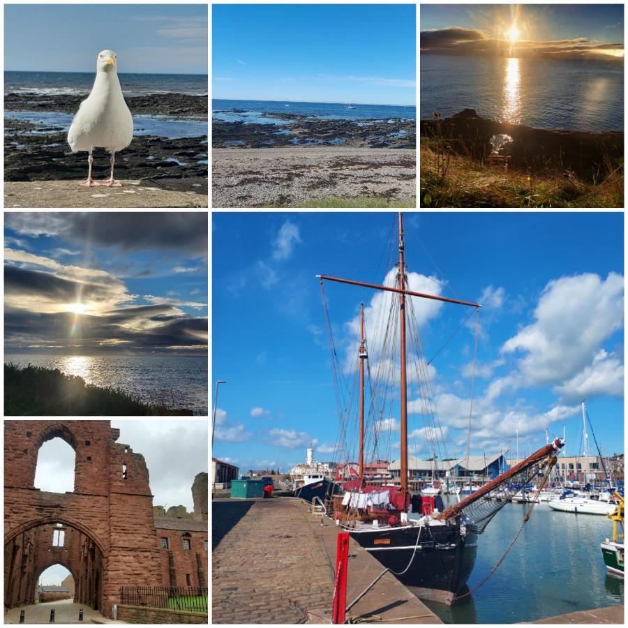 The Snug Apartment Arbroath Luaran gambar